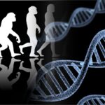 На кого работает эволюция? Эгоистичные гены и многоуровневый отбор