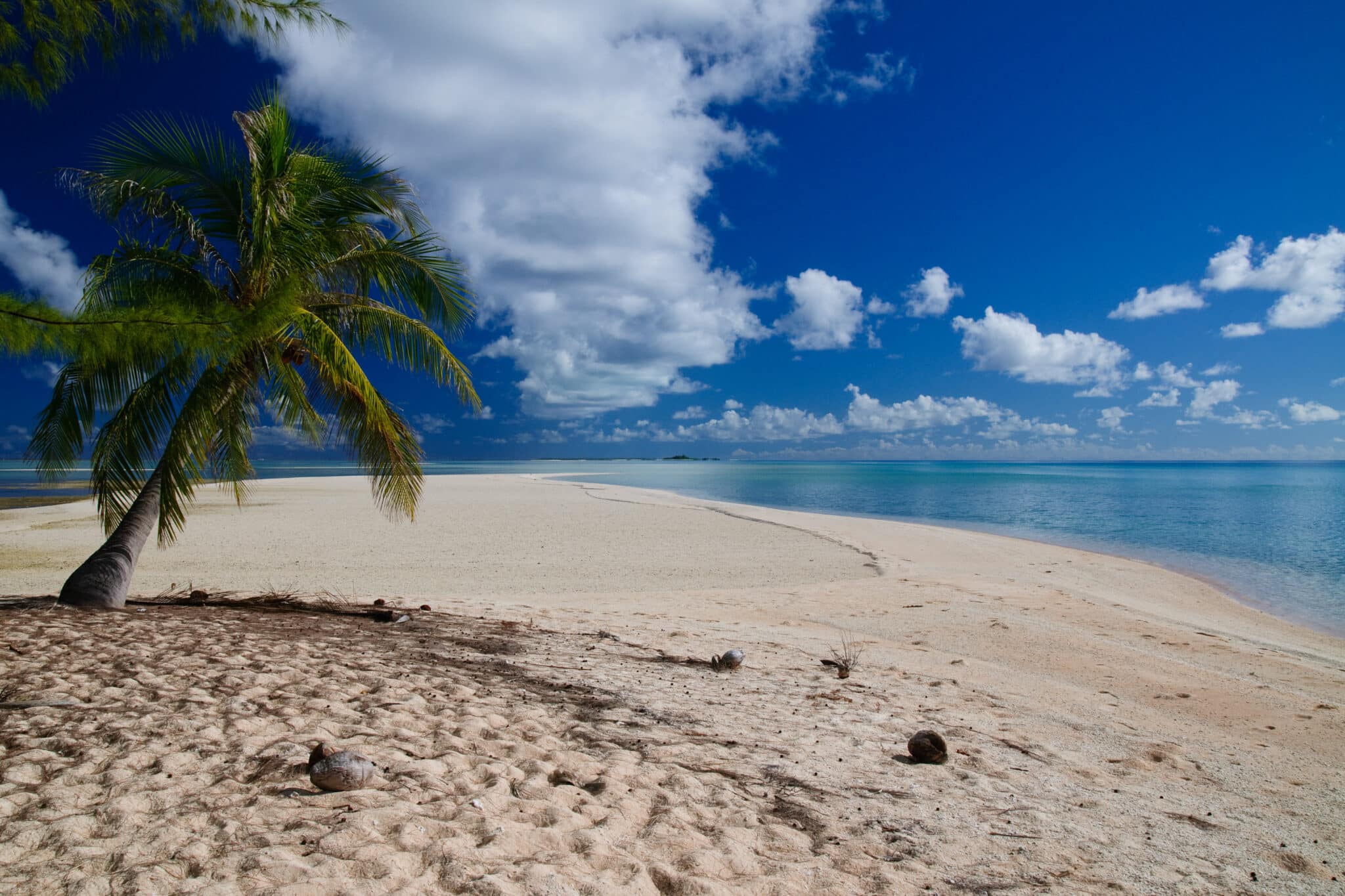 В ЮФУ узнали, где находятся самые загрязненные пляжи мира