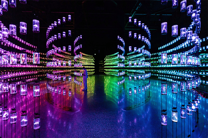 Музей будущего, Дубай, ОАЭ / © architecture.com