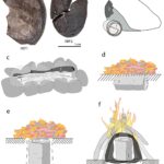 Неандертальцы научились изготавливать синтетические материалы на 100 тысяч лет раньше кроманьонцев