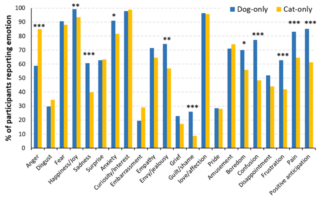 Процент участников, которые отмечали те или иные эмоции у кошек (желтый цвет) и собак (синий цвет) / © Animals