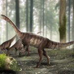 Динозавры начали приобретать черты птиц уже 225 миллионов лет назад