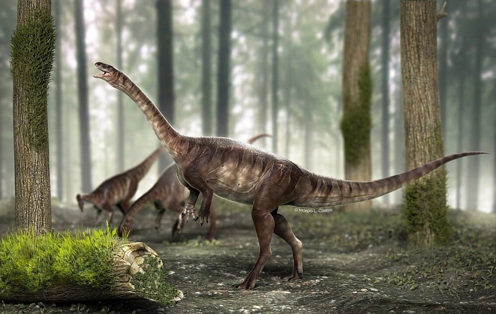 Динозавры начали приобретать черты птиц уже 225 миллионов лет назад