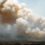 Лесные и торфяные пожары: мифы и реальность