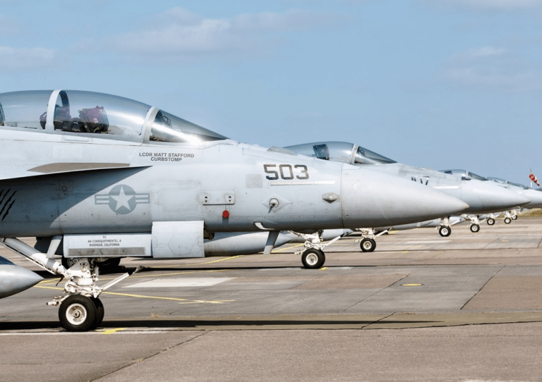 Истребители F-18 / © Markus Scholz / Global Look Press