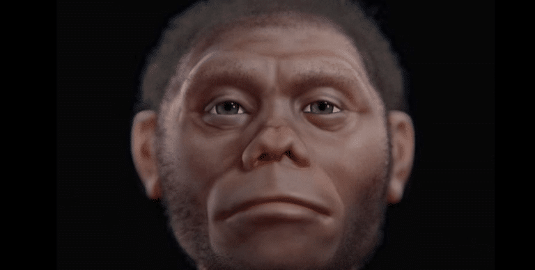 Цифровая реконструкция лица Homo floresiensis / © Daily Mail