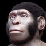 Антропологи нашли древнейшие захоронения в истории рода Homo