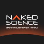 Naked Science стал самым цитируемым научно-популярным СМИ в России