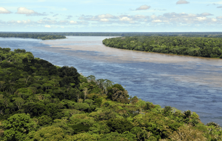 Дождевые леса Амазонии / © wikipedia