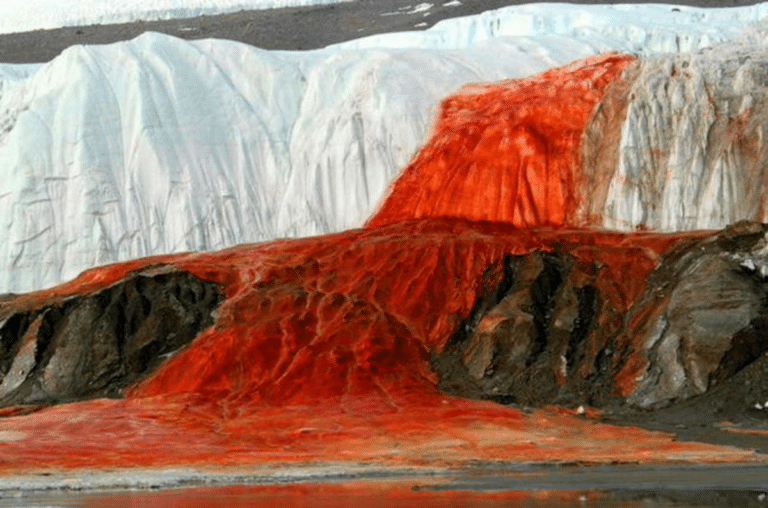 «Кровавый водопад» в Антарктиде / © wikipedia