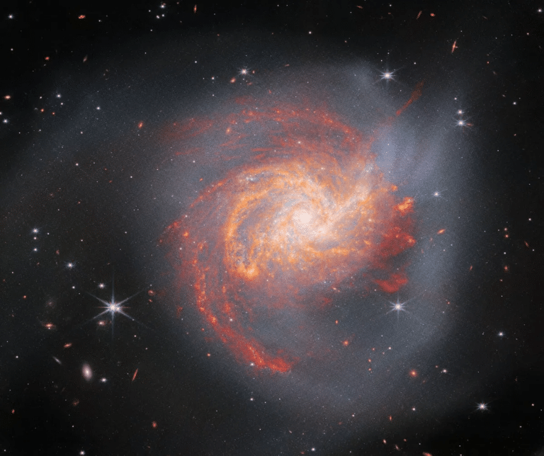 Галактика NGC 3256 © / ESA/Webb, NASA и CSA, L Armus, A Evans