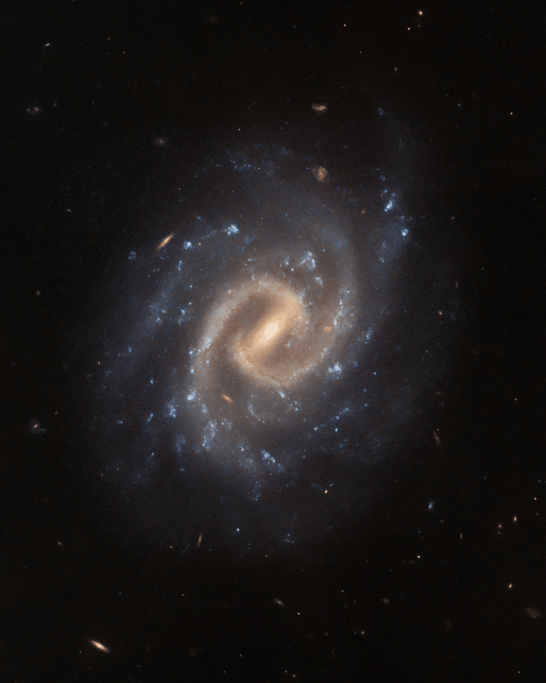 Галактика UGC 12295 / © ESA/Hubble & NASA, A. Filippenko, J. Lyman