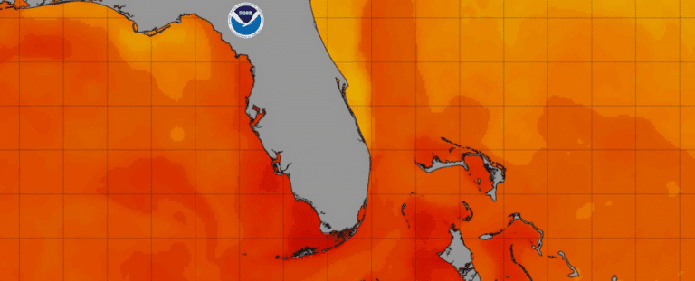Температура воды у побережья Флориды, 24 июля 2023 года / © NOAA