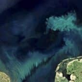Снимок космического аппарата ДЗЗ Aqua, который ведет мониторинг океанов на протяжении более чем 20 лет