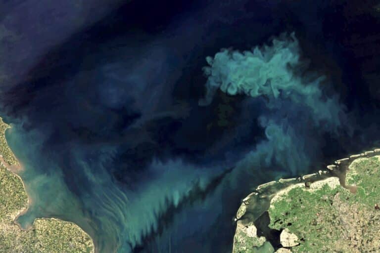 Снимок космического аппарата ДЗЗ Aqua, который ведет мониторинг океанов на протяжении более чем 20 лет