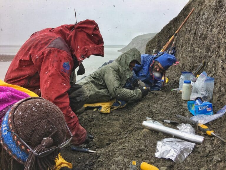Группа палеонтологов проводит раскопки