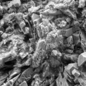 Ученые из Сколтеха обнаружили гидрид олова со свойствами «странного» металла