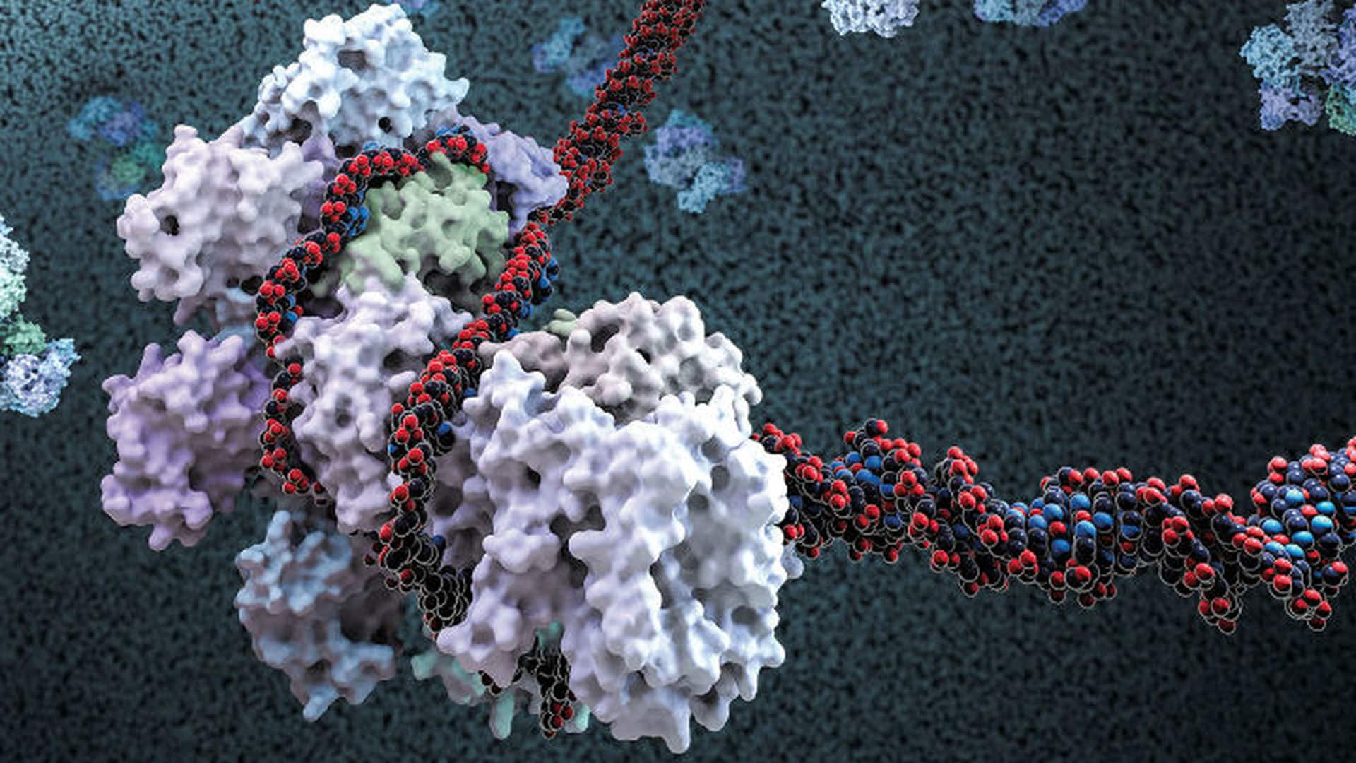 Днк готов. CRISPR Биоинженерия ДНК. Генетические ножницы CRISPR/cas9. Ферменты под микроскопом. Ферменты генной инженерии.