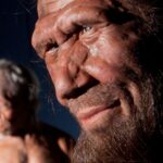 Один день неандертальца из Хотылево