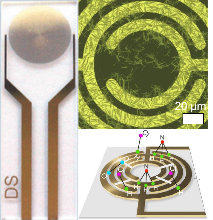 Верхнее слева — фото сенсора, где сам сенсор — это круг семь миллиметров в диаметре. Справа — его оптическое изображение (предоставлено авторами исследования). Справа внизу — концепт работы сенсора, то, каким образом на нити адсорбируются молекулы газов / © ACS Applied Nano Materials