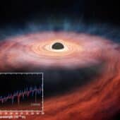 Останки звездного вещества падают в недра черной дыры: взгляд художника