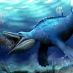 Палеонтологи нашли древнюю рептилию, которая фильтровала воду, как кит