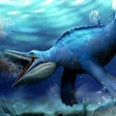 Морской ящер Hupehsuchus фильтрует воду: реконструкция палеохудожника