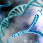 Генетики секвенировали Y-хромосому, завершив расшифровку ДНК человека