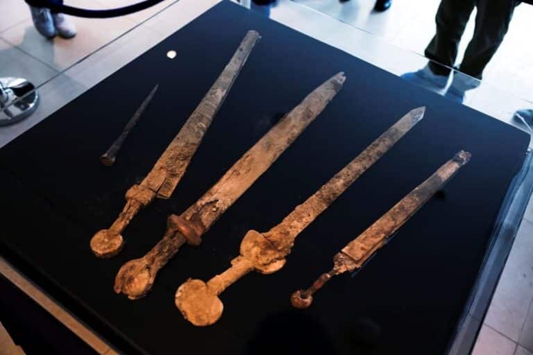 Древнеримские мечи обнаружили в Израиле / © Reuters / Ronen Zvulun