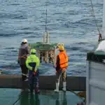 В Сколтехе представили новые результаты изучения температуры донных отложений и подводной мерзлоты на арктическом шельфе России