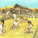 Рис приходит в Японию: формирование земледельческой культуры