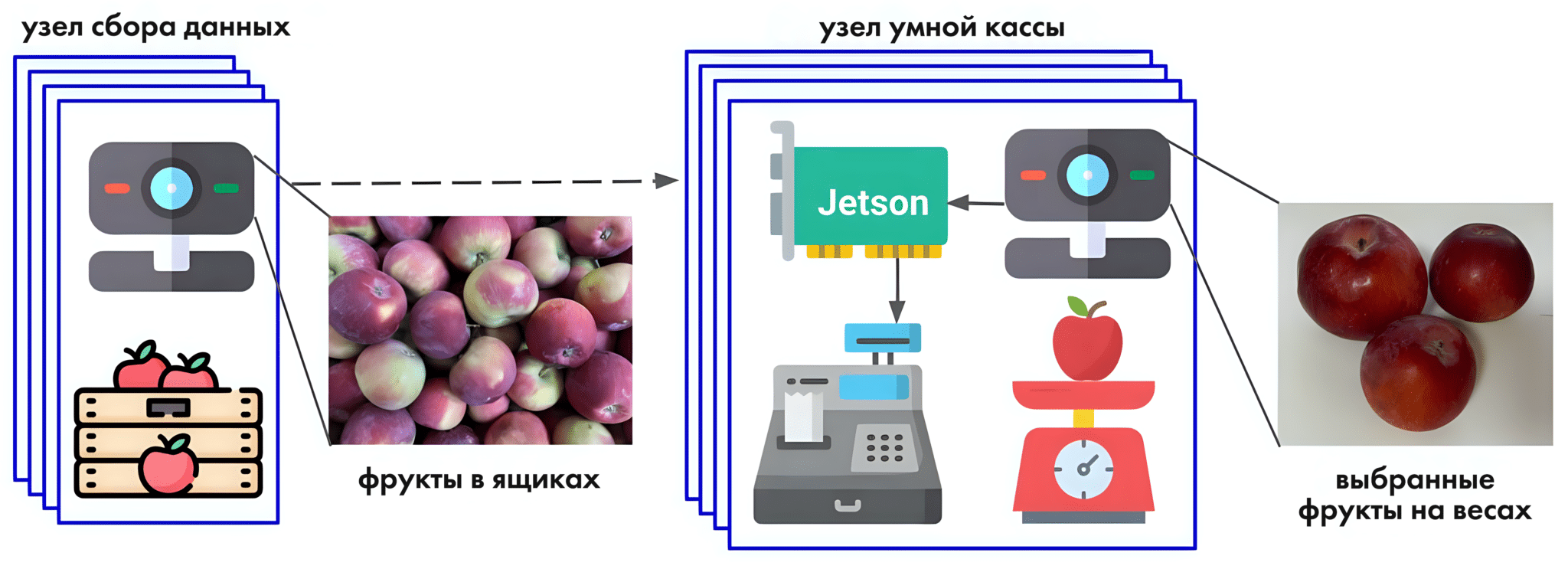 Новый алгоритм научит весы и кассы самообслуживания быстро распознавать  товары