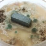 Ученые выяснили, как защитить стройматериалы от микроорганизмов, вызывающих коррозию