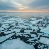 Десятки миллионов человек могут остаться без дома: эксперты Пермского Политеха рассказали про таяние льдов Арктики