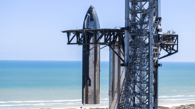 Сборка Starship / © SpaceX