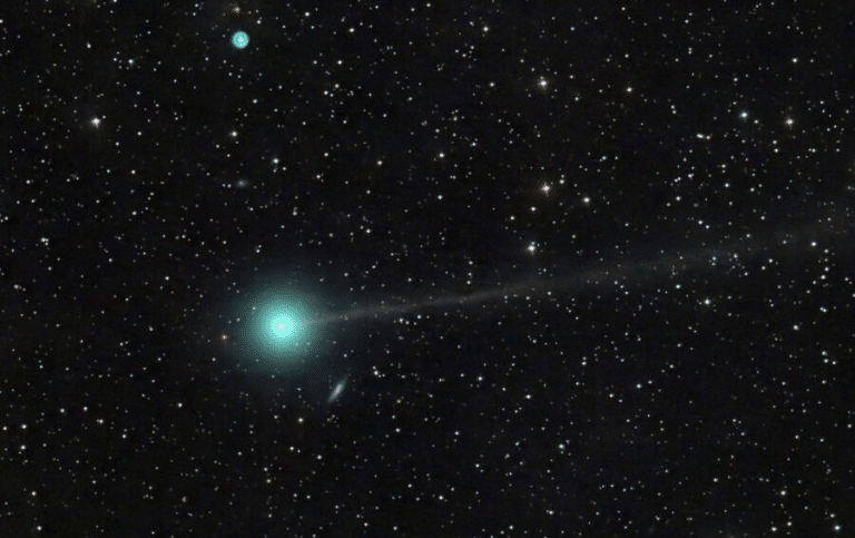 Комета C/2023 P1 (Nishimura) / © Dan Bartlett