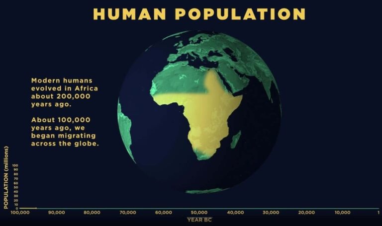 Популяция людей в Африке  / © American Museum of Natural History 