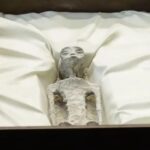 В парламенте Мексики показали останки «инопланетян», которым более 1000 лет
