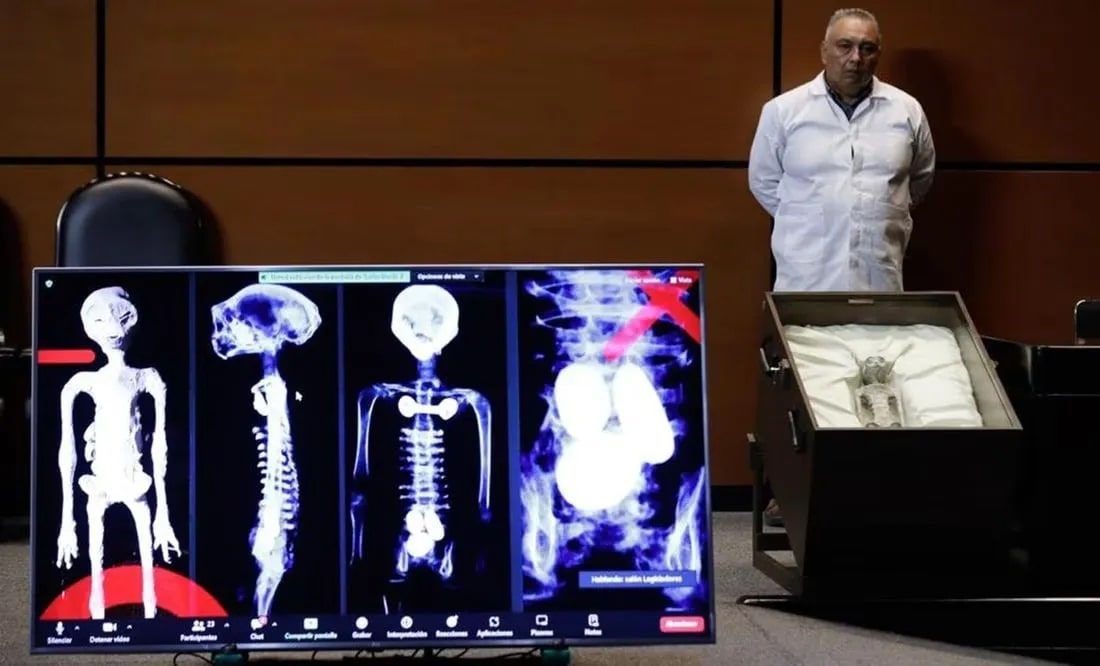 В "мумиях инопланетян" из Перу обнаружили клей и кости животных: Наука: Наука и 