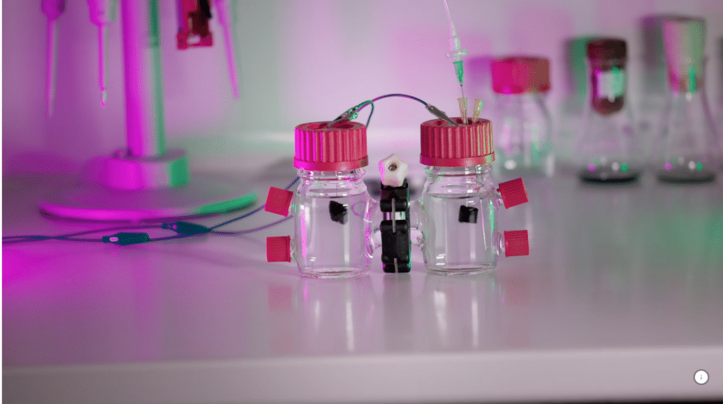 Эксперименты с E. coli