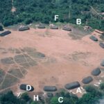 Жители древней Амазонии намеренно делали компост и удобряли почву
