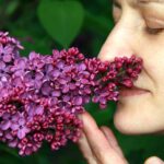 Неврологи узнали, почему люди по-разному воспринимают запахи