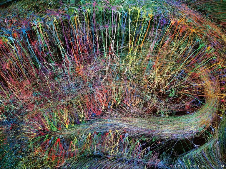 В НИУ ВШЭ нашли способ распутать нейронные сети мозга