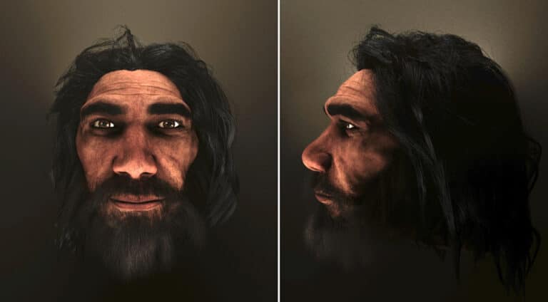 Реконструкция внешности гейдельбергского человека / © Asterios Aidonis et al. 