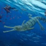 Палеонтологи выяснили особенности роста морских крокодилов юрского периода