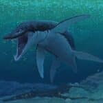 В останках морской рептилии юрского периода опознали древнейшего плиозавра