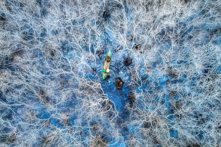 Второе место в номинации «Мангровые заросли и люди»: рыбак в мангровом лесу Ру-Ча недалеко от города Хюэ, Вьетнам / © Phan Thi Khanh