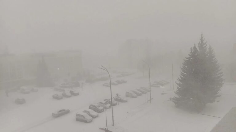 Грозовая снежная буря в Кемеровской области / © NS-community