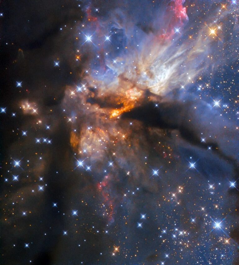Область звездообразования G35.2-0,7N / © ESA / Hubble and NASA, R Fedriani, J Tan