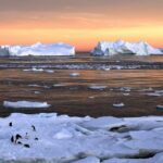 Изменение климата в Арктике: современность и будущее